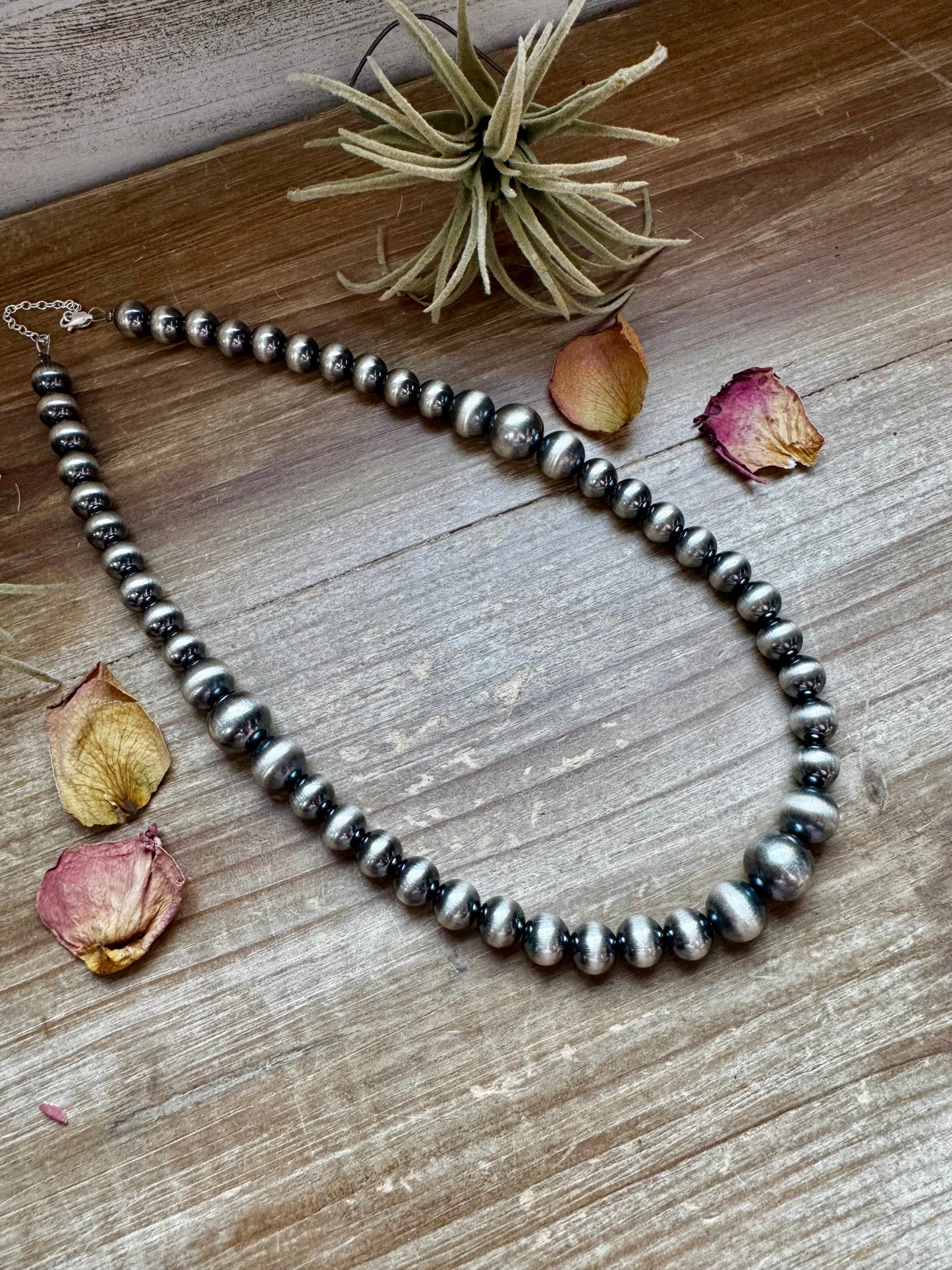 20 1/2 inch graduated 10 to 14 mm Sterling Silver Pearls necklace